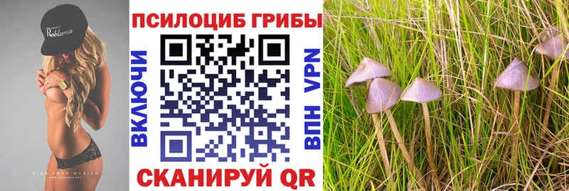 площадка состав  купить наркотики цена  Чекалин  Галлюциногенные грибы GOLDEN TEACHER 